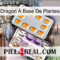 Dragon À Base De Plantes new12